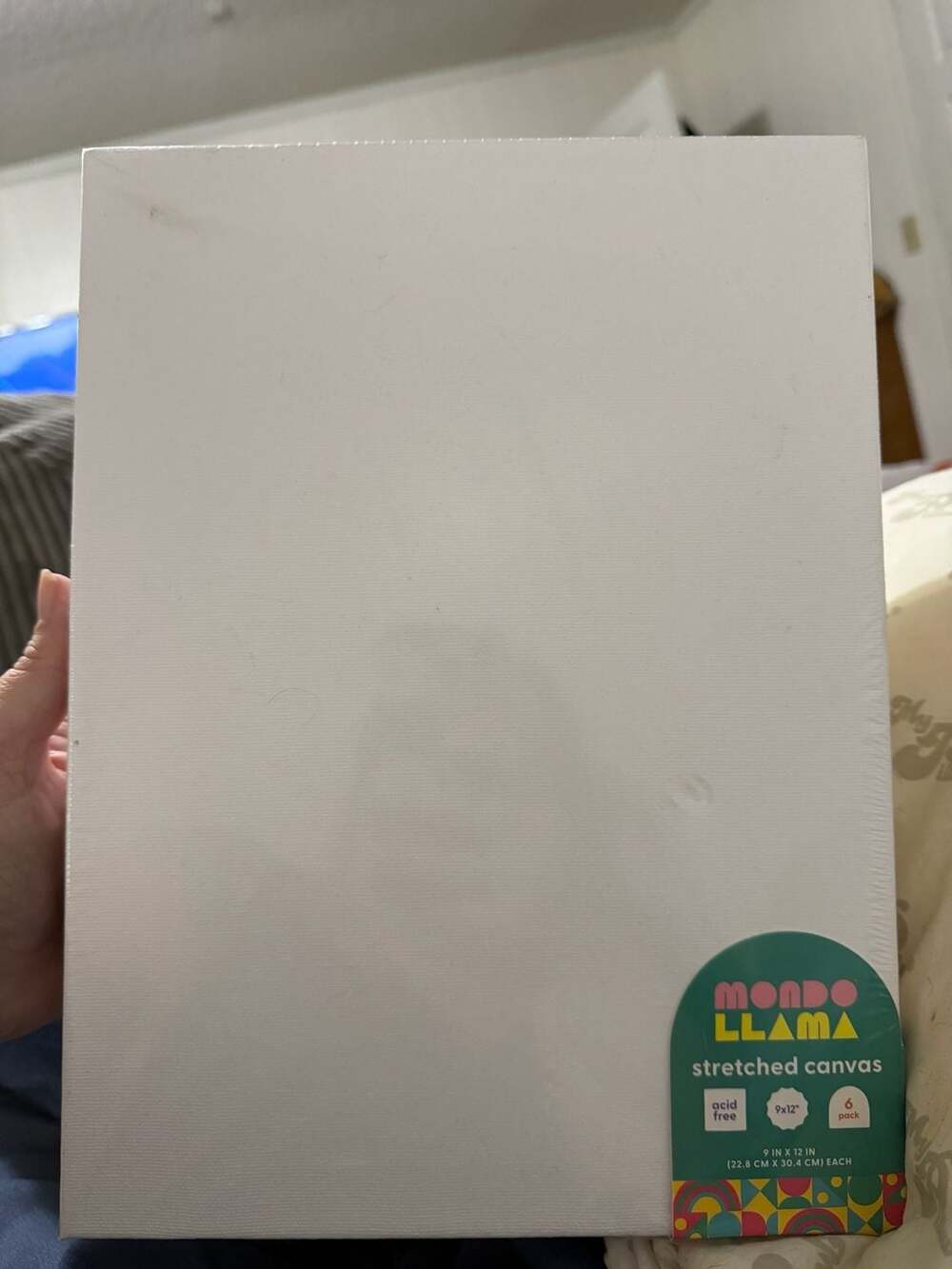 Mondo Llama Stretched Canvas 9x12 6 Pack White Acid Free